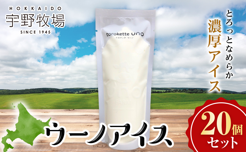 ウーノアイス 60ｇ×20個
