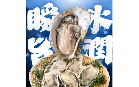 国産 急速冷凍牡蠣 加熱用 大サイズ 4個 / 牡蠣 殻付き 海鮮 かき カキ 冷凍 【mix005】