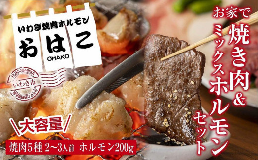 
【味付き焼肉セット】＆【新鮮ホルモン】食べ比べ　専門店焼肉セット2～3人前！とミックスホルモンセット
