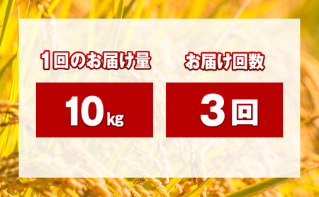 【3ヵ月定期便】北海道 木古内町 ふっくりんこ 10kg 家計応援米　北海道米　お米・ふっくりんこ・米・3ヶ月・3回