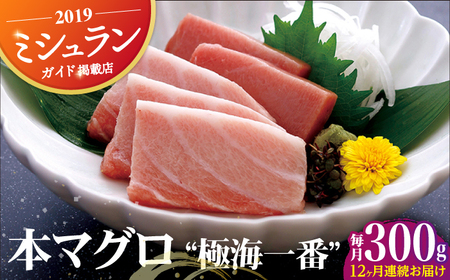 【12回定期便】本マグロ極海一番 300g【囲炉裏料理　エビス亭】[KAC100]/ 長崎 平戸 魚介類 魚 刺身 マグロ 赤身 中トロ 大トロ 本マグロ 柵 ブロック