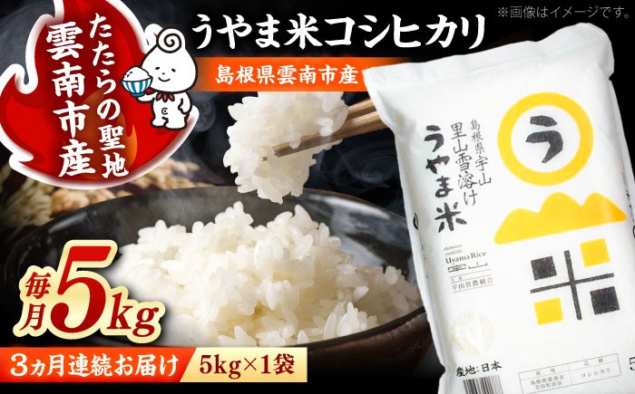 
                  白米 【全3回定期便】神話の里/吉田町「うやま米」コシヒカリ 5kg（5kg×1）白米 精米 コメ おすすめ 人気 お米 米 ごはん ご飯 食卓 主食 ブランド米 お取り寄せ グルメ ご当地米 贈り物 贈答 家族 ファミリー 定期便 毎月お届け ストック 一人暮らし 5キロ おいしい 国産 新生活 毎日 お弁当 朝ごはん 島根県雲南市/有限会社藤本米穀店 [AIDB077]
                