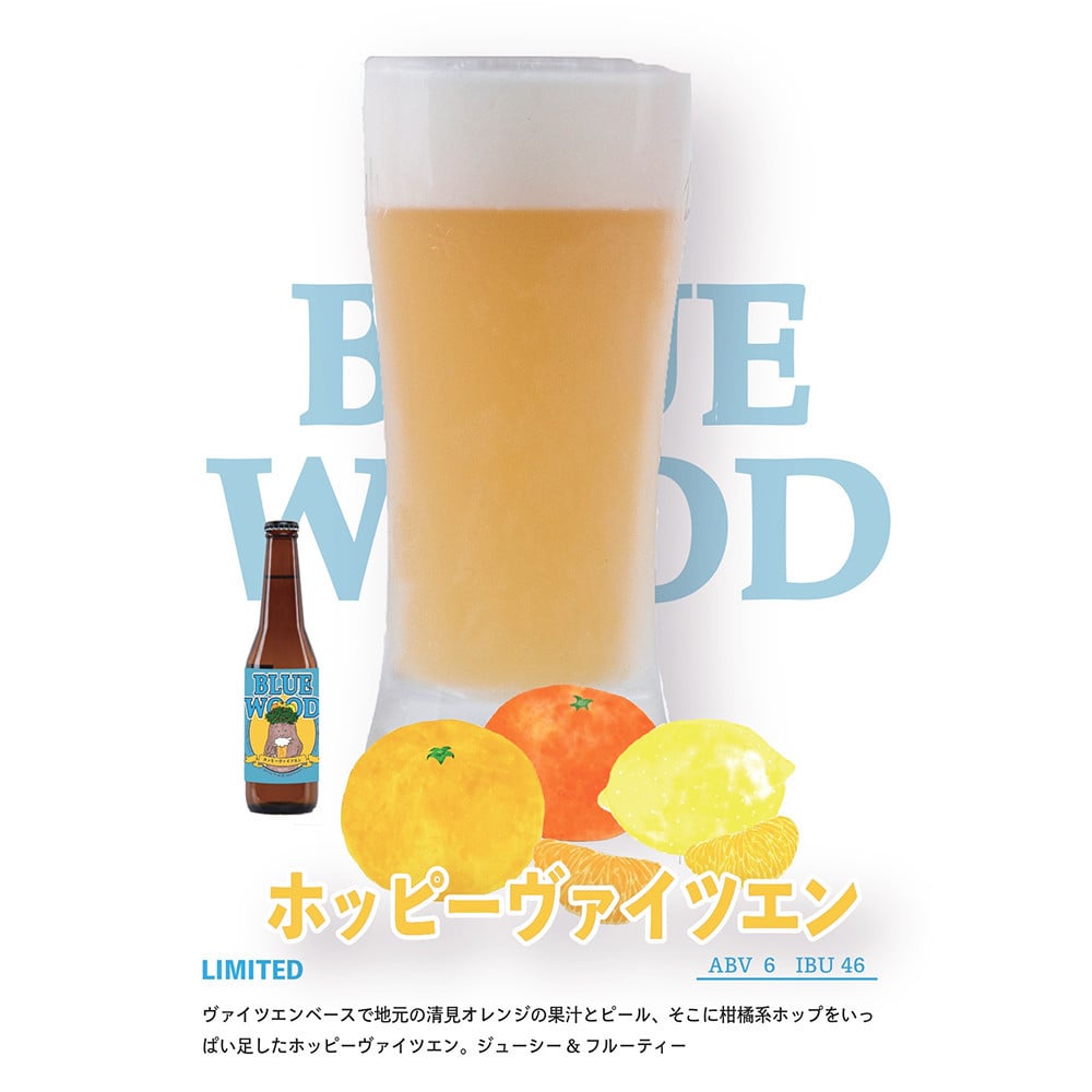 
            【数量限定】 クラフトビール ホッピーヴァイツェン 6本セット
          