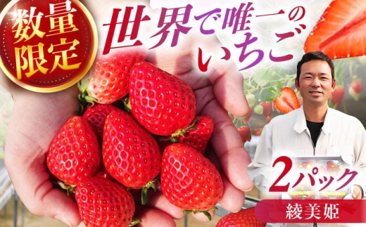 【★先行予約 2027年2月より発送】 〈幻のイチゴ〉綾美姫2パック いちご イチゴ 苺 ストロベリー 果物 フルーツ 広川町 / 石川農園 [AFCC001]