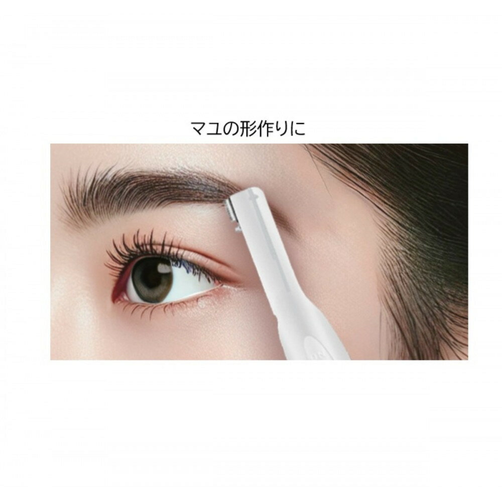 【ふるさと納税】川崎市に本社工場を構える　理美容家電メーカー　ロゼンスターJPN　フェイスシェーバー　F-621 | 美容家電 日用品 人気 おすすめ 送料無料