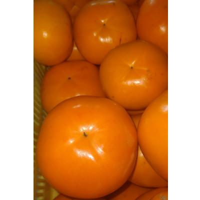 ふるさと納税 橋本市 紀州てまり　10個〜12個入　約3kg |  | 01