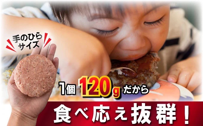 《数量限定》総重量2.7kg 佐賀牛ハンバーグ120g×23個　※一部配送不可地域有り