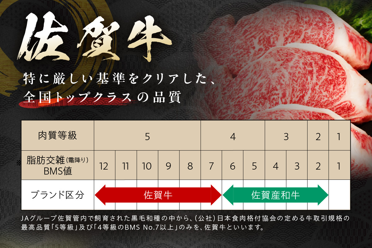 A5ランク佐賀牛サーロインステーキ200g×2 213-J1754