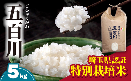 米 令和8年産 五百川 5kg (ごひゃくがわ) | 米 5kg こめ 白米 埼玉県 東松山市