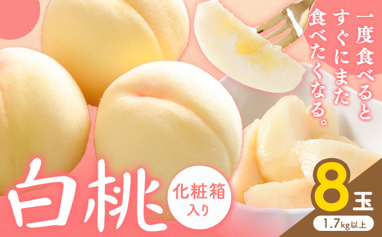 
                  桃【2026年先行予約】白桃 8玉(1.7kg以上) 株式会社山博 (中本青果)《2026年7月上旬-8月上旬頃出荷》岡山県 浅口市 桃 もも フルーツ 旬 果物 国産 岡山県産 送料無料 冷蔵 化粧箱【配送不可地域あり】
                
