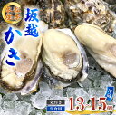 【ふるさと納税】牡蠣 生食用 お試し 坂越かき 殻付き 13～15個 松本水産 [ 生牡蠣 真牡蠣 かき カキ 一人暮し 冬牡蠣 ]　【 魚貝類 牡蠣 名水百選 天然記念物 生島樹林 栄養 水 海 ミルク 濃厚 旨味 厳選 新鮮 】　お届け：2025年1月中旬～2025年3月末