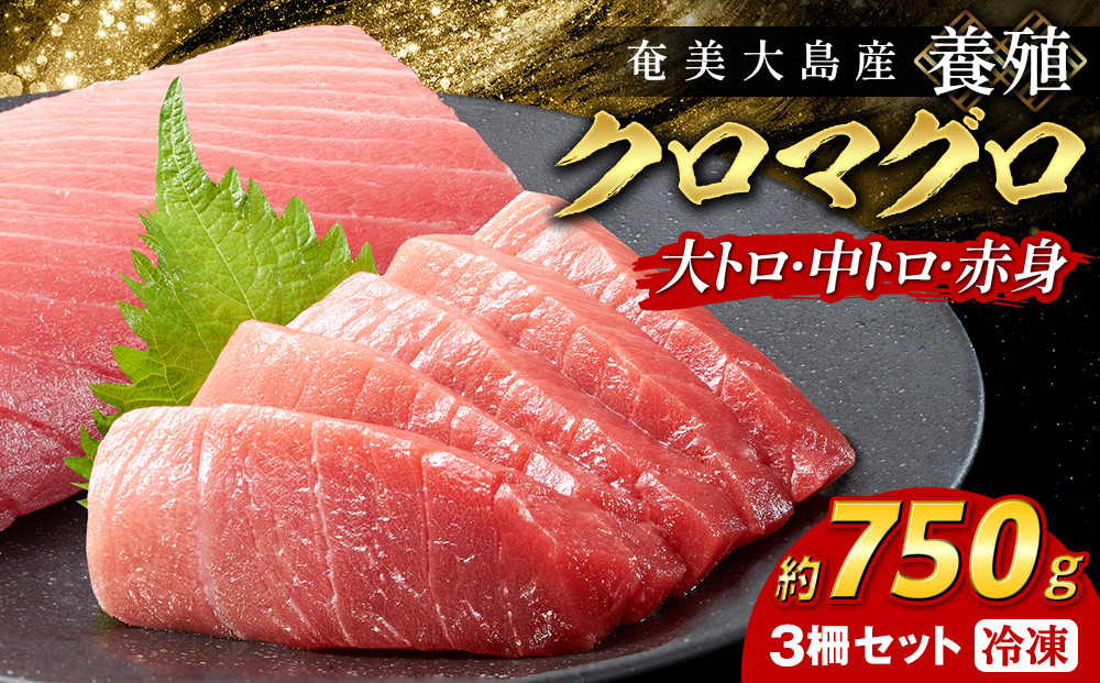 奄美大島産養殖クロマグロ（3柵セット）