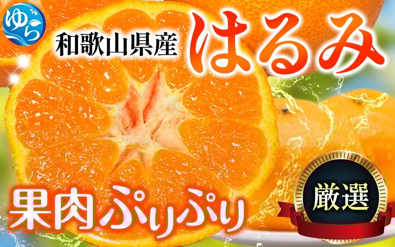 
                  【先行予約】＜2月より発送＞ 厳選はるみ5kg+250g（傷み補償分）デコポンの姉妹品種 新食感春みかん 【ikd194B】
                