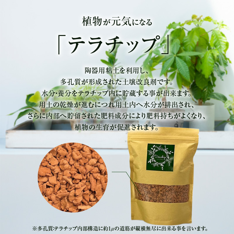 三河焼植木鉢ハーモニーブラウン【テラチップ赤焼】プランター お手軽植物栽培セット 園芸 粘土 鉢 植物 土 シルバー 赤 茶 H188-004