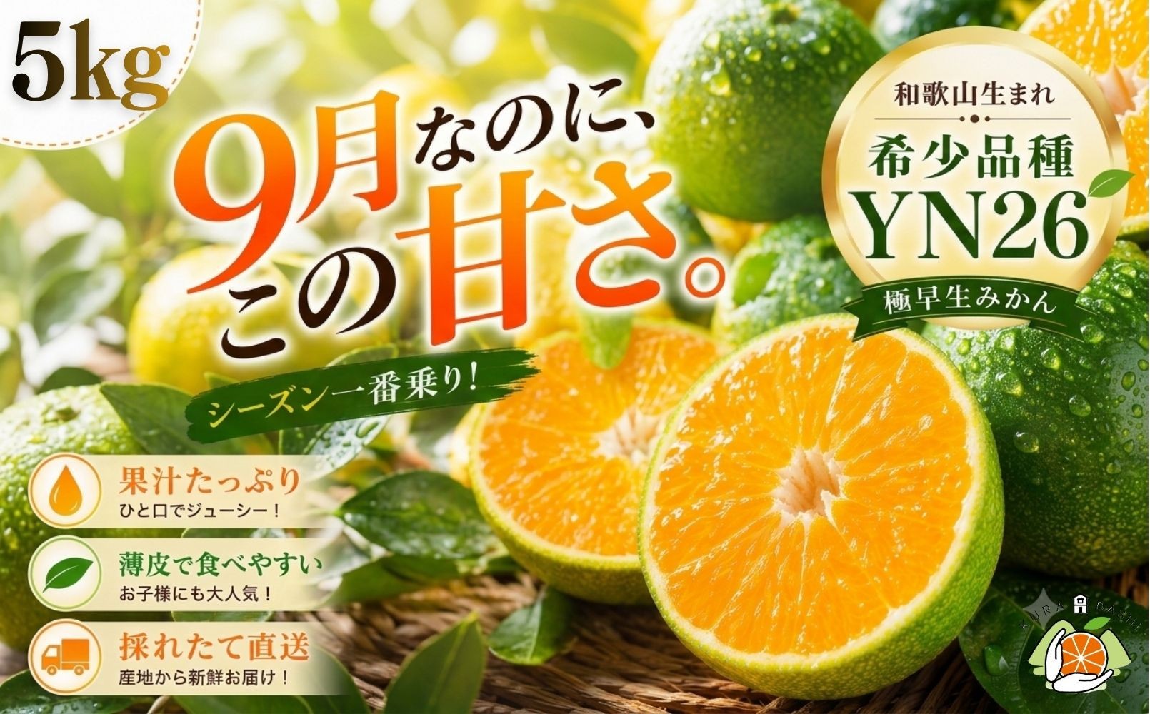 
                  【極早生みかん】YN26 みかん 5kg 家庭用 2S・3S混合サイズ 和歌山県海南市産 産地直送 
                