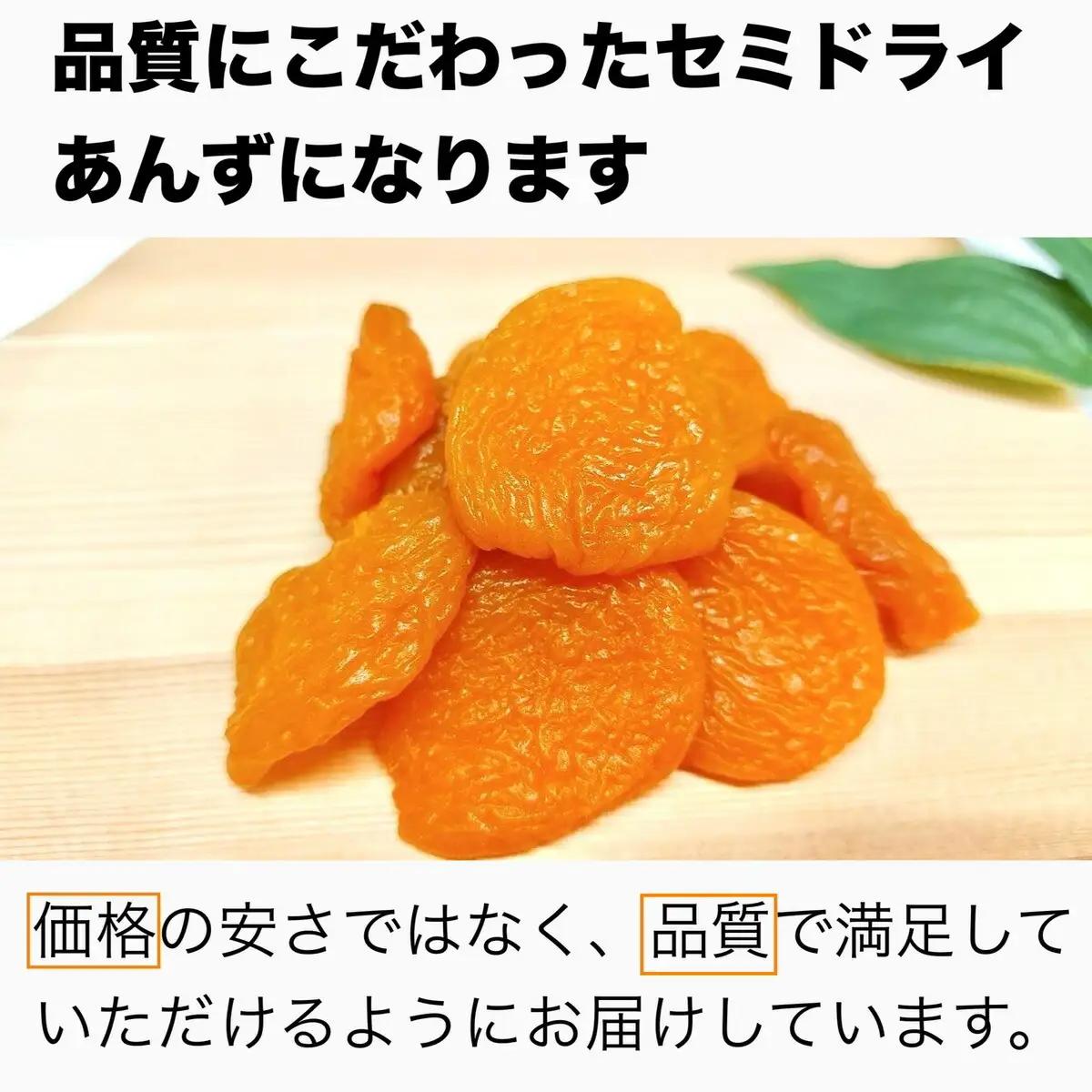 あんず セミドライ 横島あんず40ｇ×3袋セット