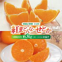 【ふるさと納税】紅まどんな・せとか 青秀 定期便（全2回） 約3kg L～3L（15～10玉） 人気 数量限定 柑橘 伊予市 | D33