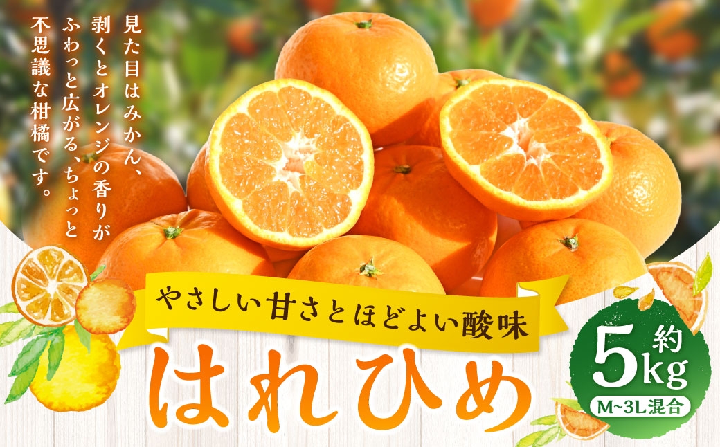 
                  【 やさしい甘さとほどよい酸味 】 はれひめ 約5kg みかん ミカン オレンジ 柑橘 柑橘類 柑橘系 くだもの 果物 フルーツ 果実 果汁 果肉 国産 愛媛県産 【 2027年1月上旬～2月上旬発送予定 】 ( 1060 )
                