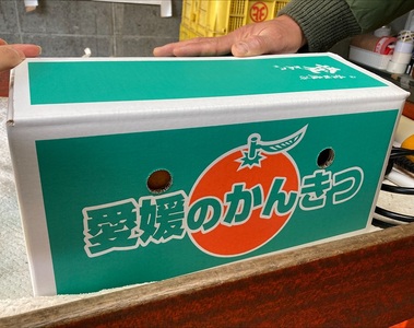 不知火 5kg ご家庭用 農園直送 先行予約 2026年4月発送 愛媛 数量限定 愛媛県産 人気 柑橘 伊予市｜B536