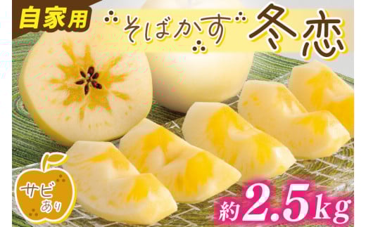 ★サビあり★ りんご はるか 「そばかす冬恋」（自家用「冬恋 はるか」 サビ有） 約2.5kg 糖度15度以上【先行予約 12月発送予定】 数量限定 岩手県産 りんご リンゴ 林檎 冬恋 はるか フルーツ くだもの 果物 訳あり 【冬恋研究会】 (AI020)