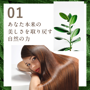 【ALLNA ORGANIC】オルナ オーガニック シャンプー 500ml ボトル 単品