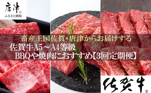 
定期便全3回」 佐賀牛 BBQや焼肉好きな方におすすめ 寄附翌月から発送 6種盛360g モモブロック800g ヒレ300g (合計1.46kg) A5～A4等級 ギフト 贈り物 アウトドア「2024年 令和6年」
