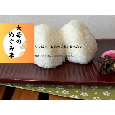 ふるさと納税 村上市 【新米受付・令和8年産米】精米　新潟県村上市産　コシヒカリ「大毎のめぐみ米」5kg　1093003N |  | 01