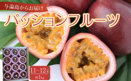 
            与論島産パッションフルーツ11玉～12玉　約1ｋｇ【先行予約：2025年6月中旬以降発送】
          