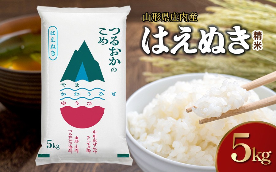 【令和7年産】はえぬき 精米 5kg(5kg×1袋)　山形県 庄内産　米食味鑑定士お薦め | 5キロ はえぬき 白米 精米 米 お米 おこめ コメ こめ 食品 ご飯 ごはん おいしい 山形県 鶴岡市 東北 国産 返礼品