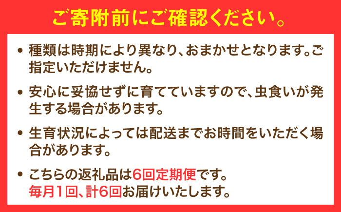 【全6回定期便】農家セレクト！特別栽培 日田の厳選食材 詰め合わせ 日田市 / 自然工房Mori 野菜 果物 米 産地直送 新鮮 セット [ARBR003]