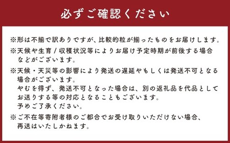 【訳あり】かねひろの黒酢ブラックシャインマスカット 富士の輝き 約700g × 2房 （合計：約1.4kg） 【2026年9月上旬～9月下旬発送予定】 シャインマスカット ぶどう ブドウ ブラック 葡
