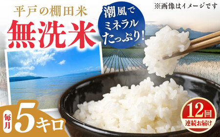 【全12回定期便】【着日指定 可能】【潮風で育った新鮮米】平戸の棚田米（無洗米）約5kg 平戸市 / ひらど新鮮市場[KAB239] 無洗米 無洗米 無洗米 無洗米 無洗米 無洗米 