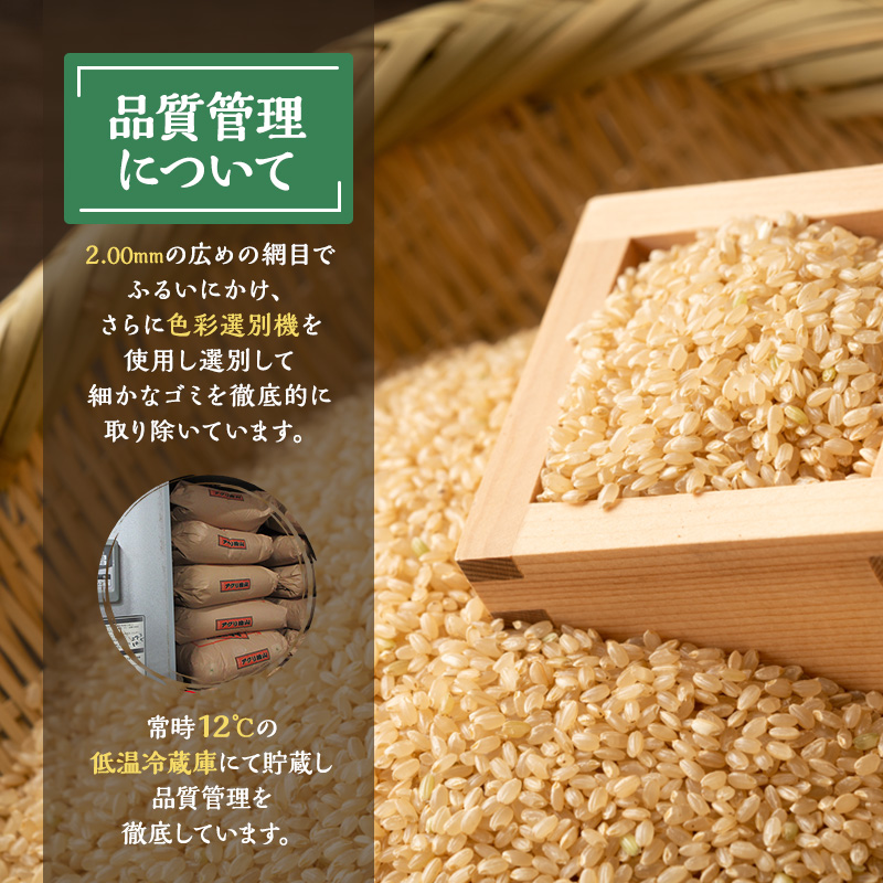 令和7年産 新米 アグリ檜山米 愛季(ちかすえ) 玄米 30kg  あきたこまち  お米 おこめ こめ コメ ごはん ご飯 大粒 令和7年  秋田 秋田県 能代市