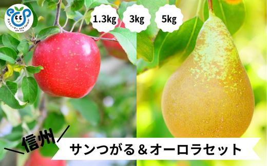 
            【信州松川町産】 サンつがる＆オーロラ 2種類セット 約1.3kg～約5kg ／ 9月上旬～9月中旬発送予定  // 長野県 南信州  減農薬栽培 りんご サンつがる 洋梨 オーロラ HF
          