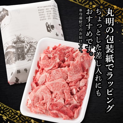 飛騨牛　コマ切れ　700g【配送不可地域：離島・北海道・沖縄県】