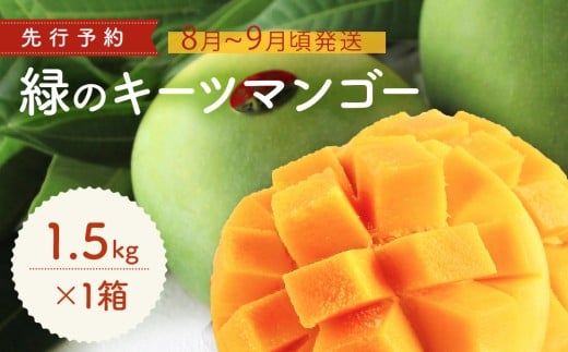 緑のキーツマンゴー1.5㎏【2026年8月～9月頃発送】生産者直送　先行予約