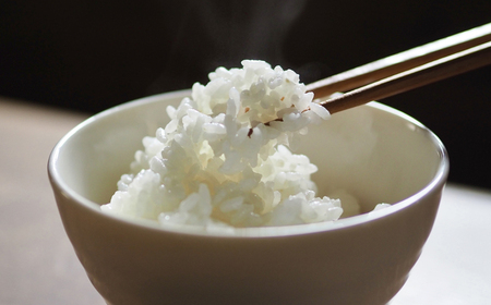 【令和7年産】川名一将さんちの長狭米　長狭米『粒すけ』 5kg [0014-0039]