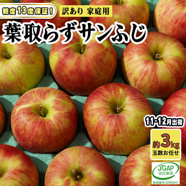 【ふるさと納税】11～12月発送【 糖度保証 】家庭用 葉取らず サンふじ 約 3kg【 訳あり 】鶴翔りんごGAP部会 青森県産 津軽産 リンゴ 林檎 果物 フルーツ デザート 甘味 酸味 食感　お届け：2025年11月20日～2025年12月25日