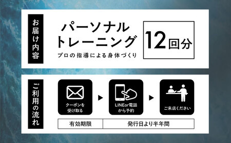 エボレラボ パーソナルトレーニング 12回分プロの指導による身体づくり(トレーニング：1回×約50分) 熊本県 菊陽町【エボレジャパン株式会社】[BHBC008]