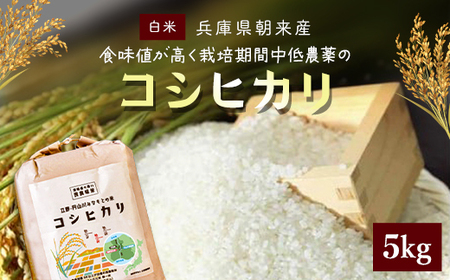 【令和6年産 新米】食味値が高く栽培期間中低農薬のコシヒカリ5kg 兵庫県 朝来市 AS4B15 新米 新米 新米 新米 新米 新米 新米 新米 新米 新米 新米 新米 新米 新米 新米 新米 新米 新米 新米 新米 新米 新米 新米 新米 新米 新米 新米 新米 新米 新米 新米 新米 新米 コシヒカリ こしひかり コシヒカリ こしひかり コシヒカリ こしひかり コシヒカリ こしひかり コシヒカリ こしひかり コシヒカリ こしひかり コシヒカリ こしひかり コシヒカリ こしひかり コシヒカリ こしひかり 