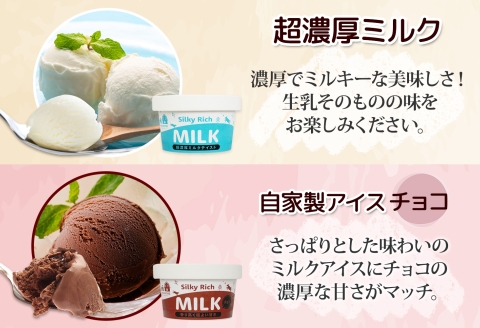 3224. 牧之瀬牧場 自家製アイス 濃厚ミルク チョコ 2種 各3個 計6個 ミルク チョコ フレーバー オリジナル  牧場 手作り セット おやつ デザート 冷凍 ギフト 送料無料 北海道 弟子屈