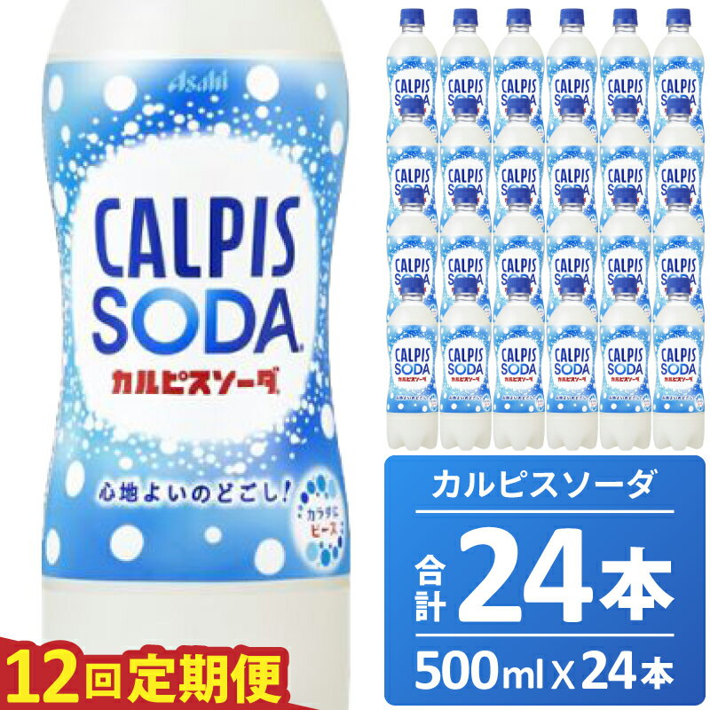 【ふるさと納税】カルピス カルピスソーダ 定期便 12ヶ月 12回配送 500ML 24本 アサヒ 乳酸菌 飲料 健康増進 総社市