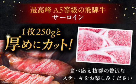 【3回定期便】 飛騨牛 サーロインステーキ (A5ランク) 250g×2枚 和牛 国産 霜降り 恵那市 / 岩島屋[AUAJ027]