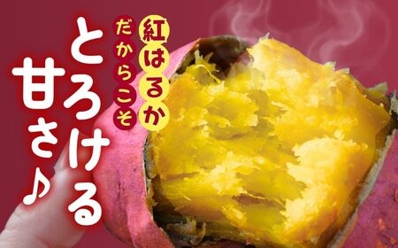 ゆうゆう農園の焼き芋 冷凍 3kg 