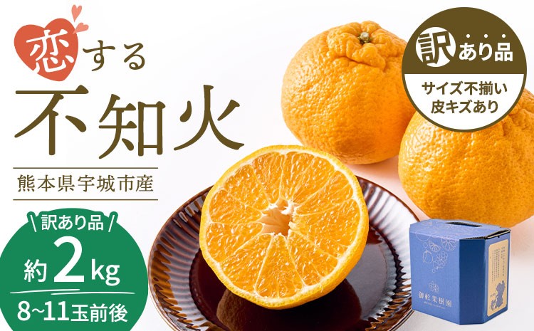 
                   訳あり 不知火 恋する不知火 選べる容量 約2kg 【2026年4月上旬から2026年7月中旬発送予定】 御舩果樹園 わけあり 不揃い しらぬい 柑橘 宇城市 熊本県産 
                
