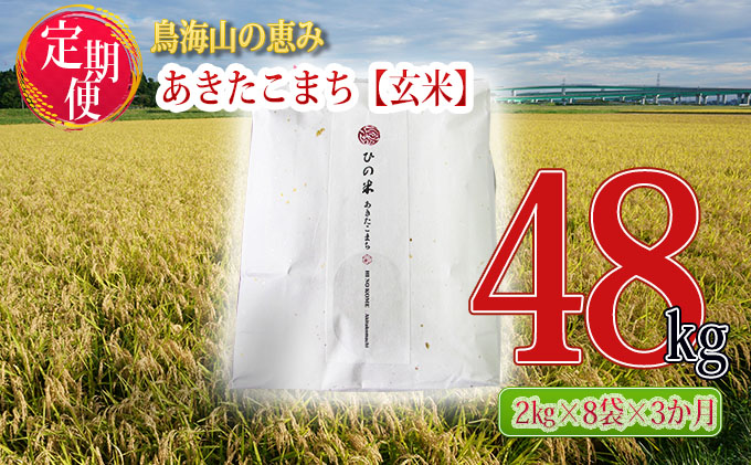 《定期便》16kg×3ヶ月 秋田県産 あきたこまち 玄米 2kg×8袋 神宿る里の米「ひの米」（お米 小分け）