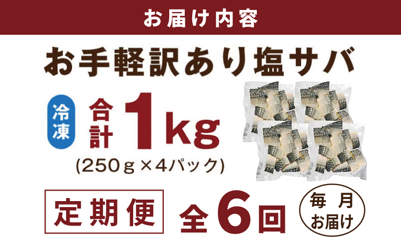 【定期便】塩さば 1kg（250g×4P）全6回【お弁当サイズ 生活応援 サバ 小分け 青魚 塩鯖 塩サバ 切身 塩焼き 焼きさば 焼き鯖 人気 冷凍 冷凍食品 おかず 惣菜 訳あり サイズ不揃い】 