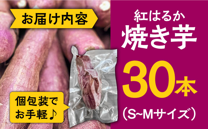 【数量限定】【ねっとり甘い熟成サツマイモ】冷凍焼き芋（紅はるか） 30本(S～M) / さつまいも やき芋 冷凍 小分け 個包装 / 南島原市 / 池田海陸物産 [SEW003]