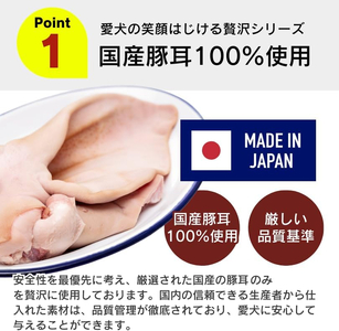 プレミアム長持ちおやつ 犬用（豚耳カット）40g×63袋_プレミアム 長持ち おやつ 犬用 豚耳 カット 40g × 63袋 国産 コラーゲン 旨味 凝縮 じっくり乾燥 ハード 食感 噛み応え ストレ