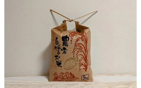 令和7年産 白川の美米 5kg 南小国産 玄米 白米 3分づき 5分づき 7分づき 森のくまさん 精米 米 お米 ご飯 ごはん 無農薬 農薬不使用 自然栽培 産地直送 白川自然農園 熊本 南小国 送料